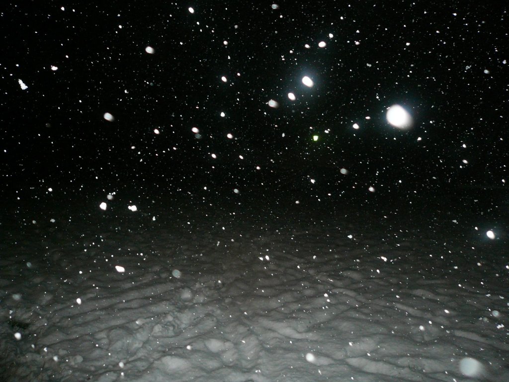 2010 Winterparty