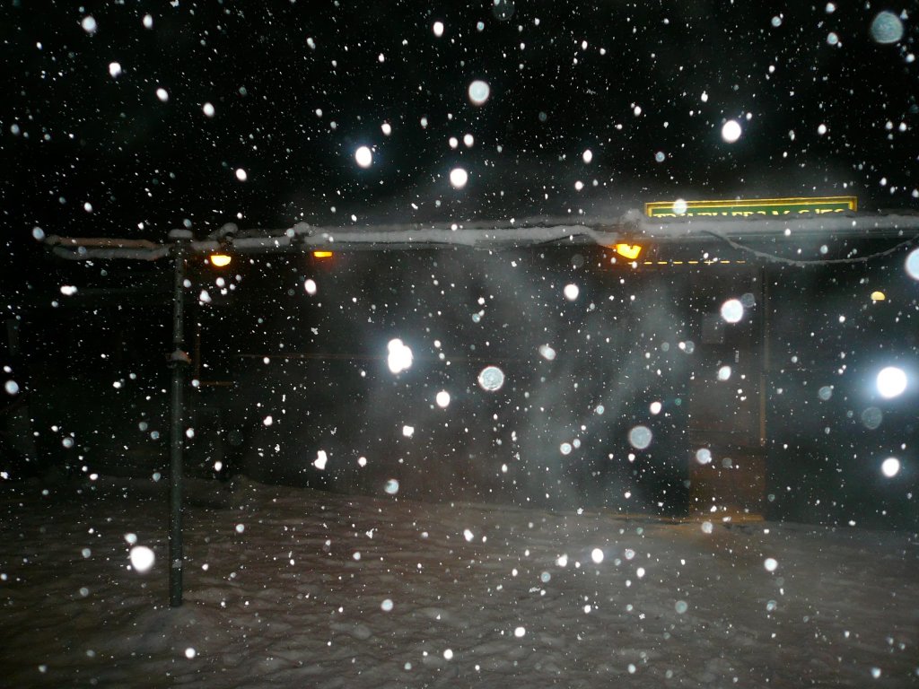 2010 Winterparty