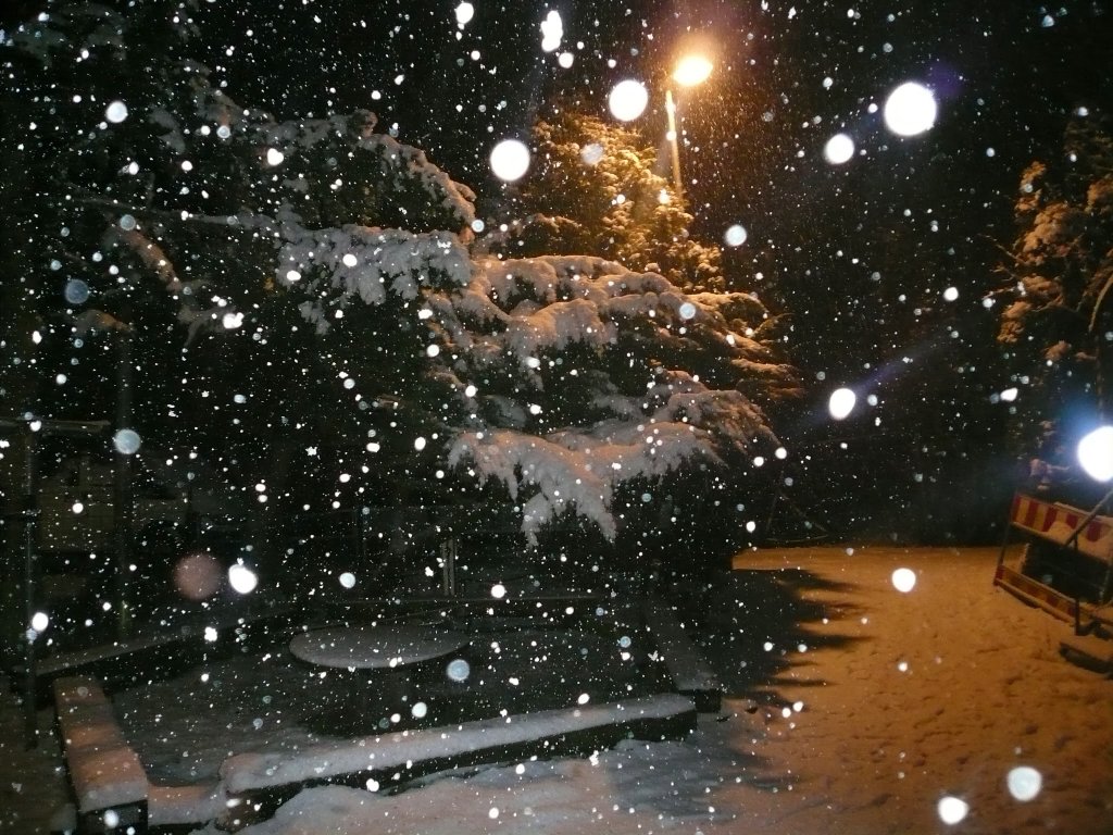 2010 Winterparty
